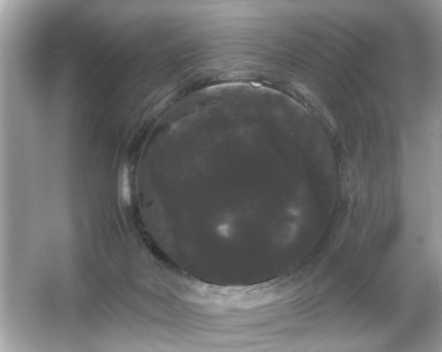 X0000065990026200603101516