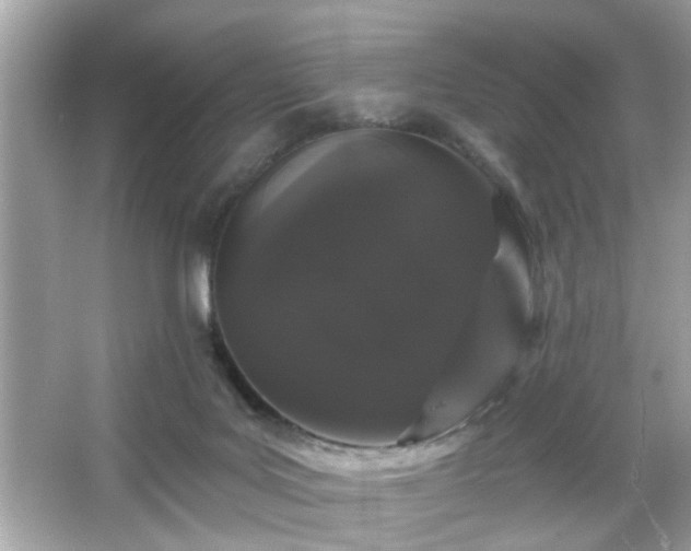 X0000065990027200603101516