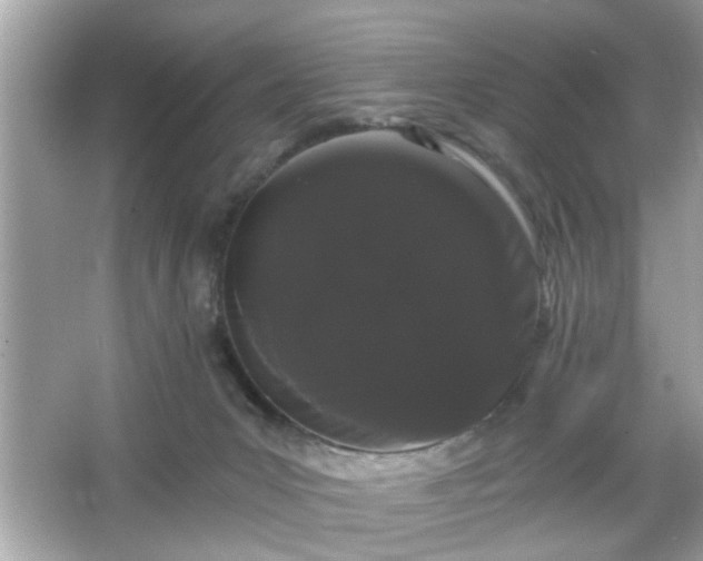 X0000065990031200603101516
