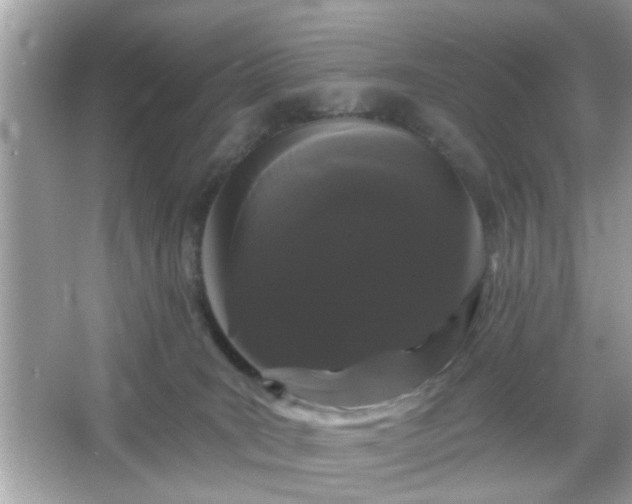 X0000065990035200603101516