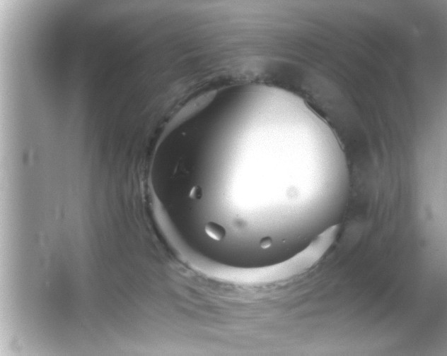 X0000065990037200603101516