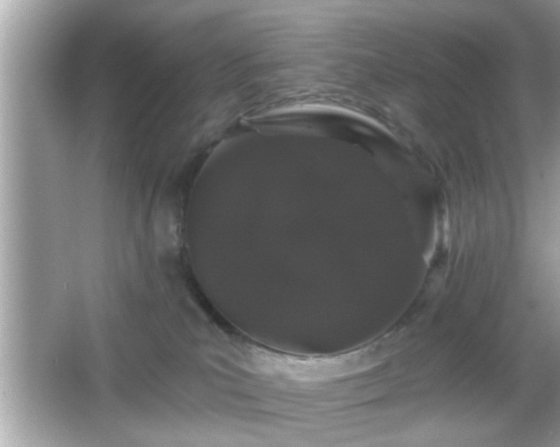 X0000065990039200603101516