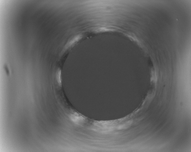 X0000065990041200603101516