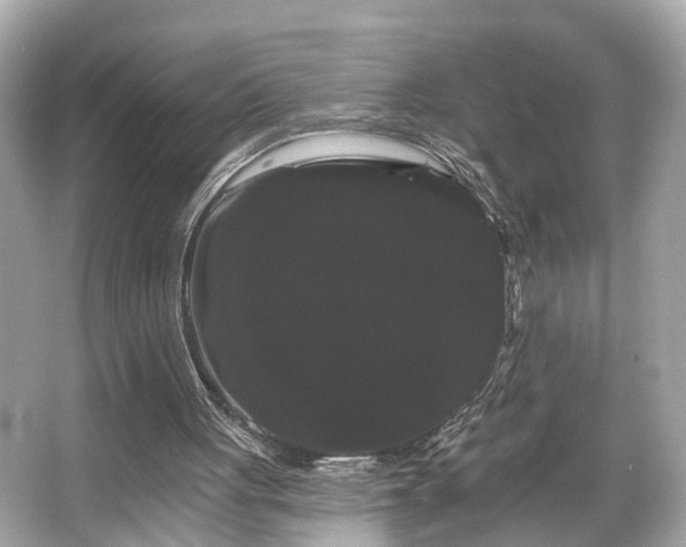 X0000065990051200603101515