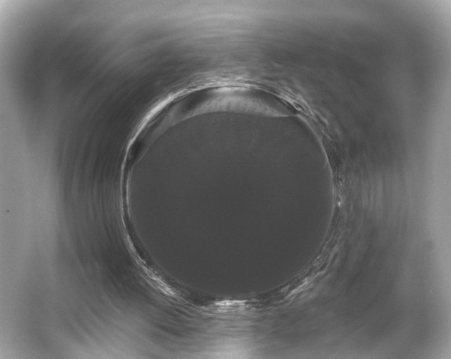 X0000065990052200603101515