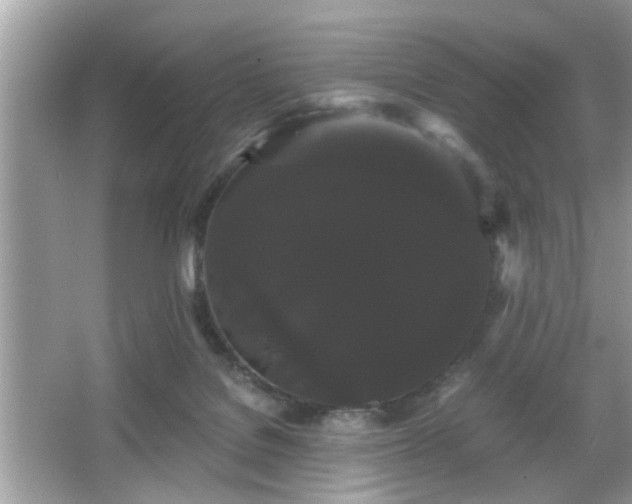 X0000065990076200603101515
