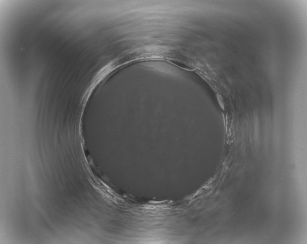 X0000065990099200603101515