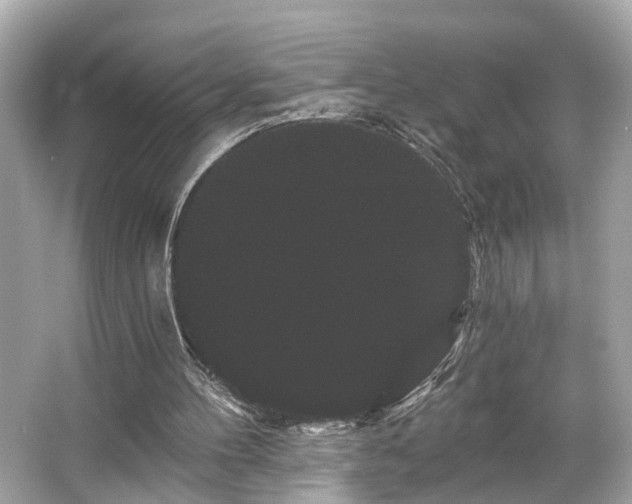 X0000065990100200603101515