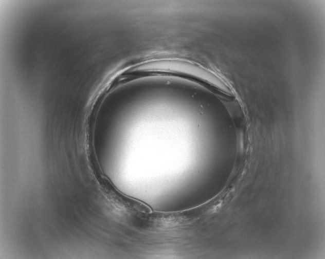 X0000065990103200603101515