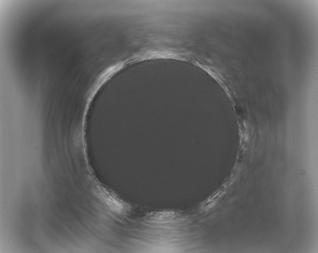 X0000065990104200603101515