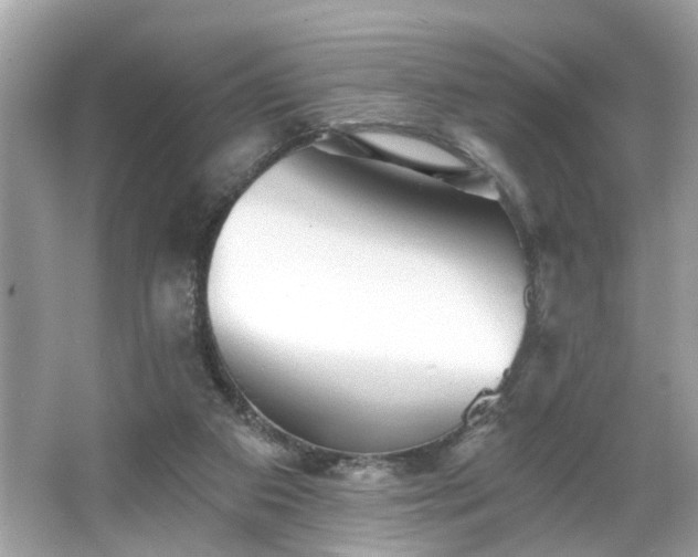 X0000065990113200603101515