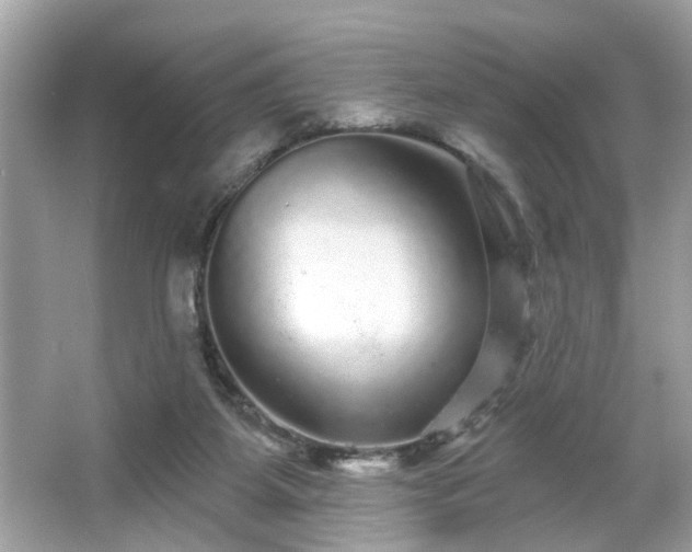 X0000065990115200603101515