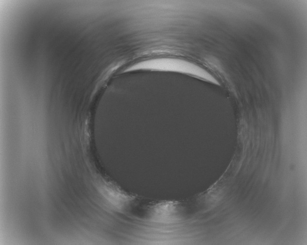 X0000065990116200603101515