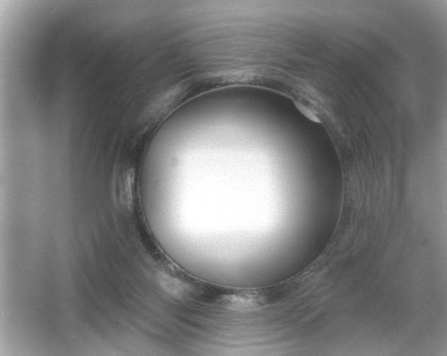 X0000065990118200603101515