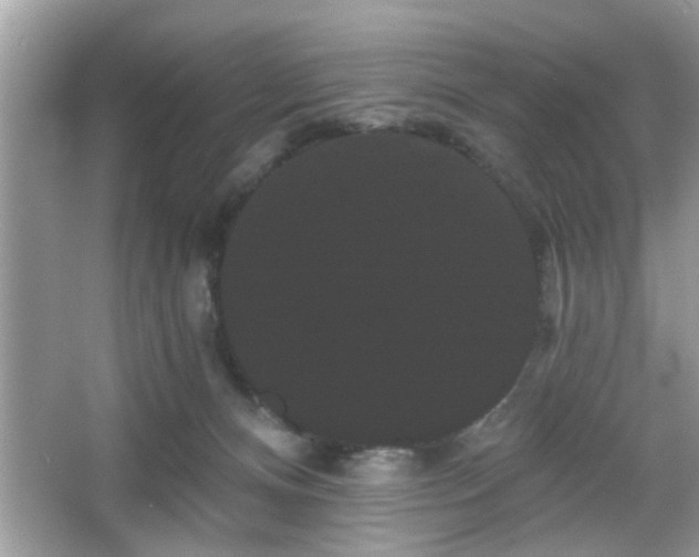 X0000065990128200603101514