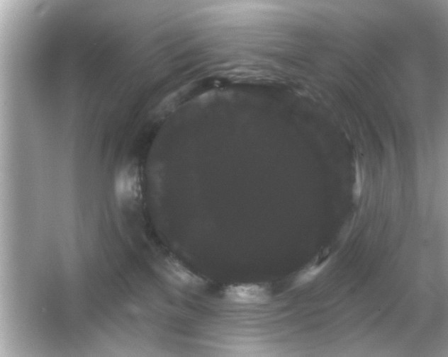 X0000065990137200603101514
