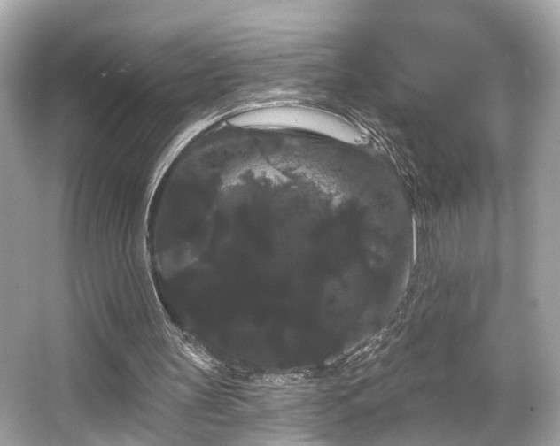 X0000065990147200603101513