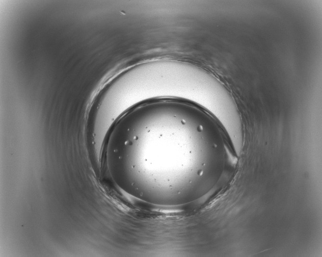 X0000065990150200603101513