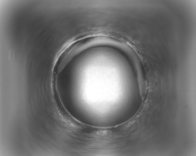 X0000065990152200603101513