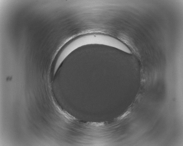 X0000065990156200603101514