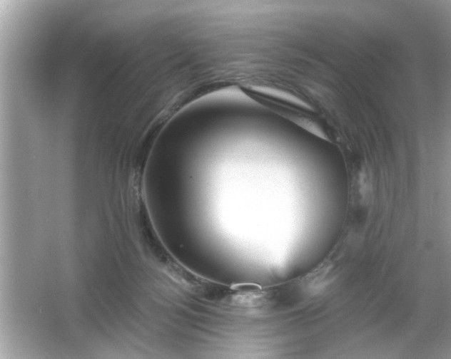 X0000065990172200603101514