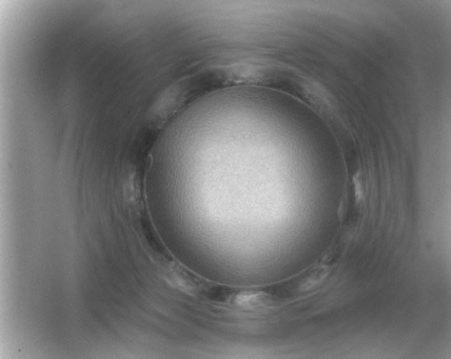 X0000065990173200603101514