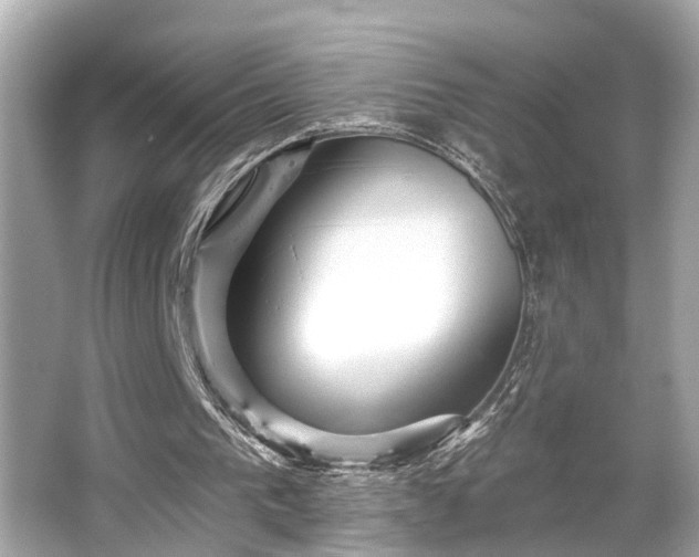 X0000065990193200603101513