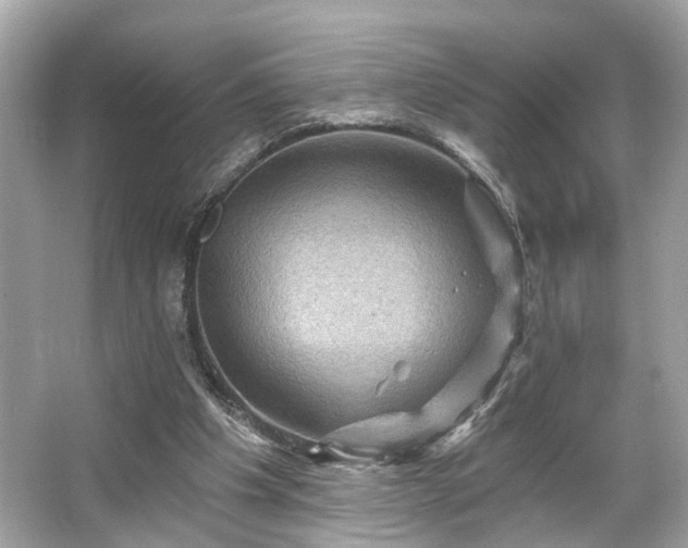 X0000065990201200603101513