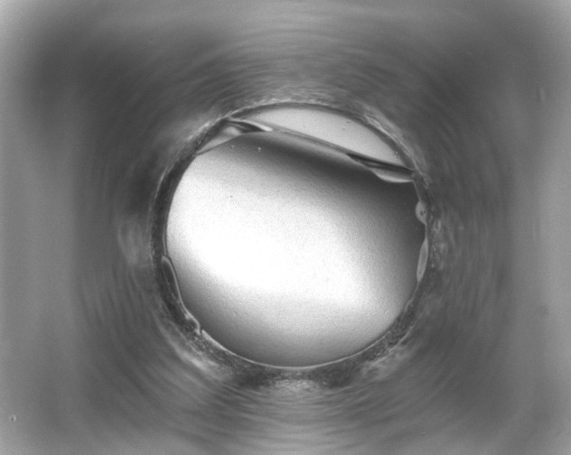 X0000065990203200603101513