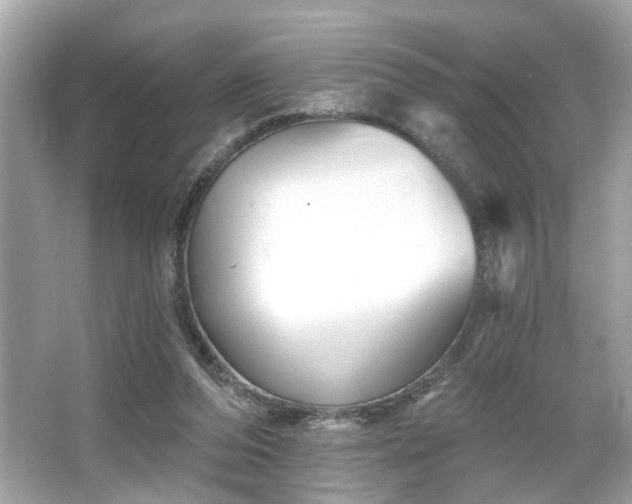 X0000065990208200603101513