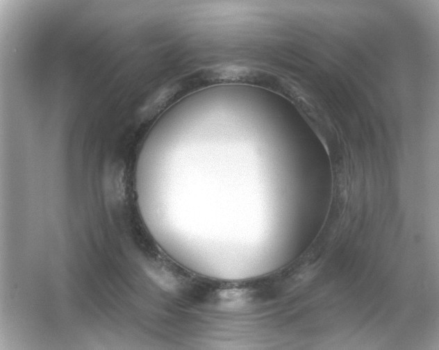 X0000065990216200603101513