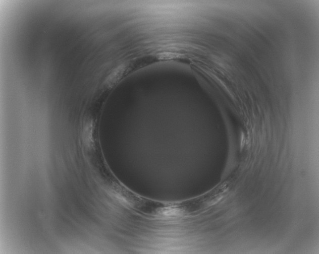 X0000065990219200603101513