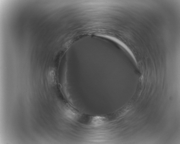 X0000065990222200603101513