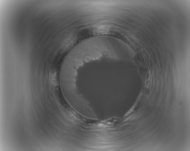 X0000065990224200603101513