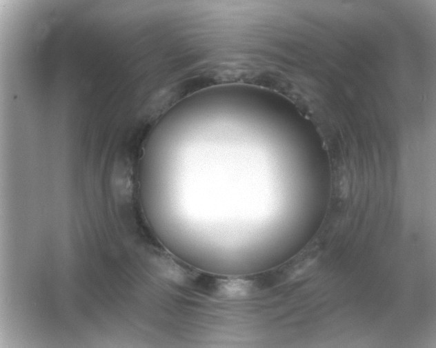 X0000065990226200603101513