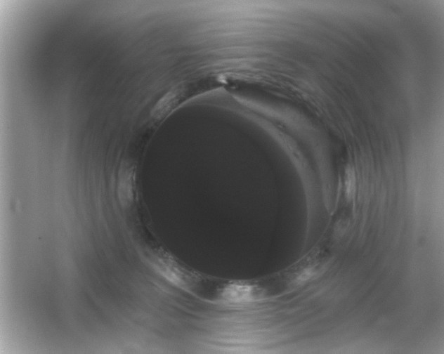 X0000065990227200603101513