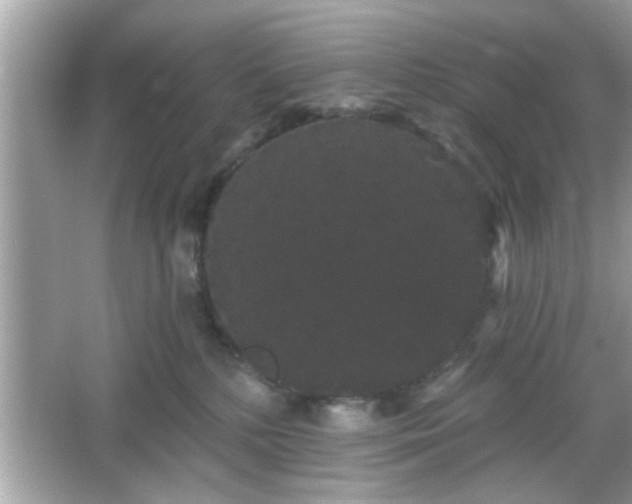 X0000065990232200603101513