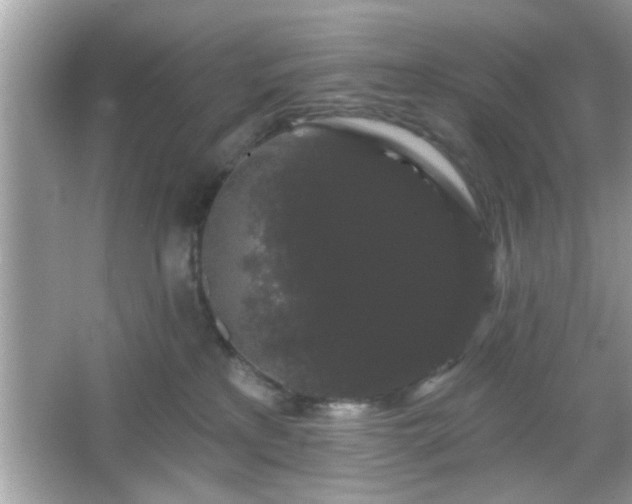 X0000065990233200603101513