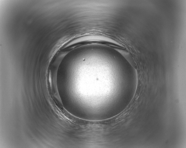 X0000065990242200603101512