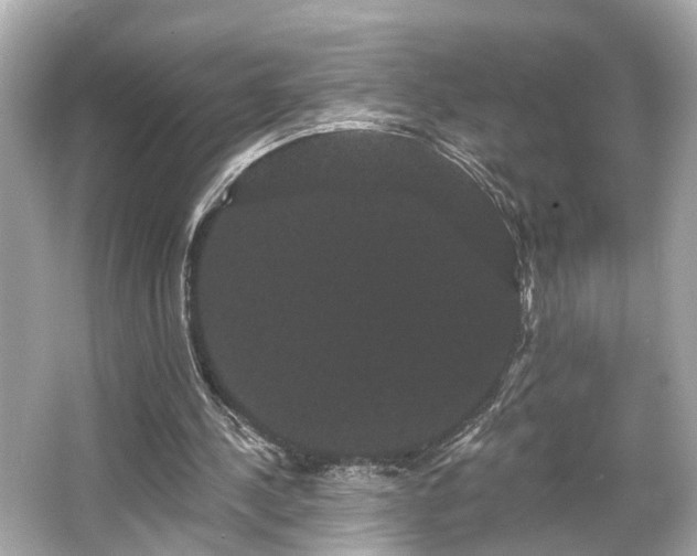 X0000065990244200603101512