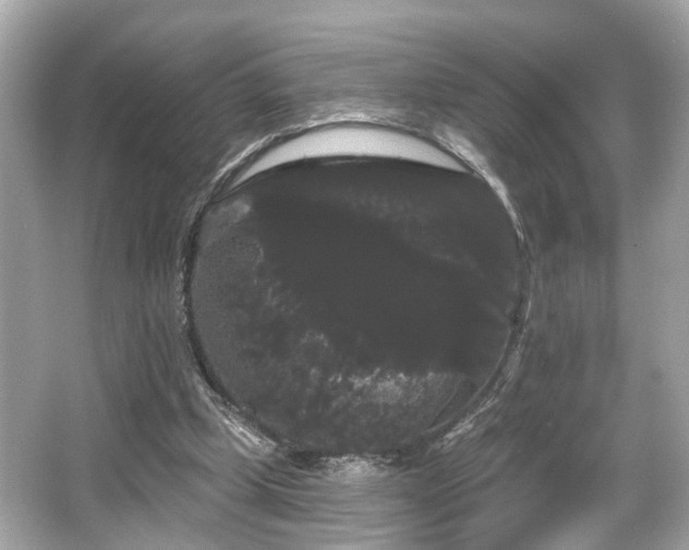 X0000065990249200603101512