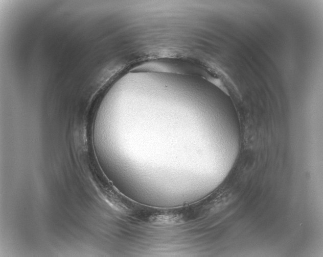 X0000065990251200603101512