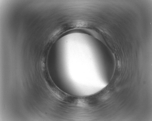 X0000065990264200603101512