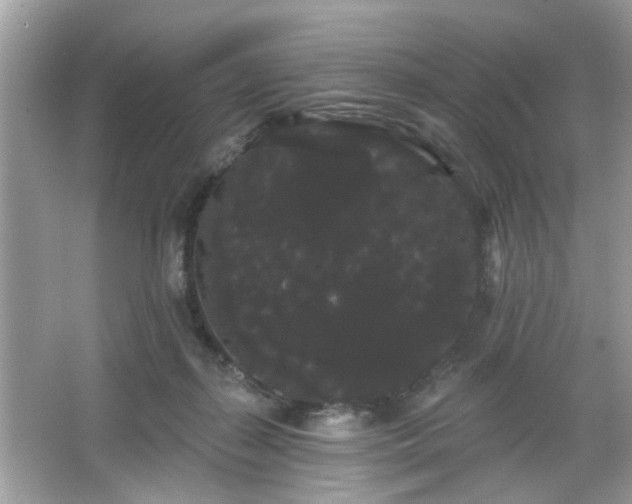 X0000065990267200603101512