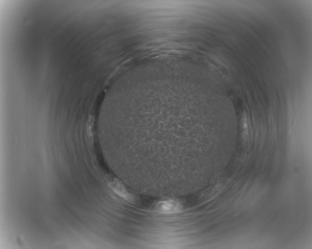 X0000065990275200603101512