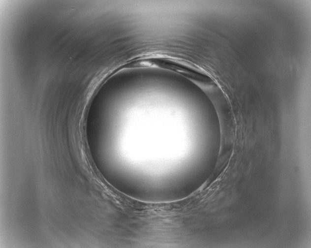 X0000065990289200603101512