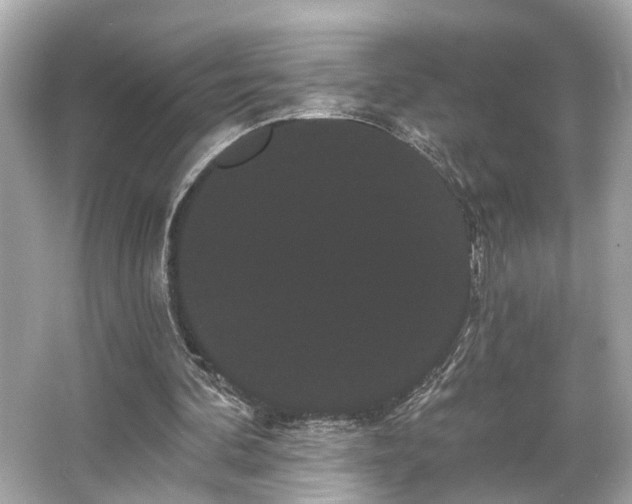 X0000065990292200603101512