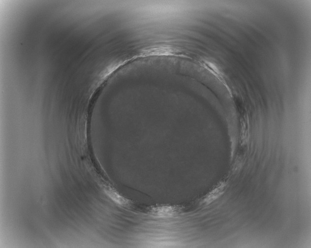 X0000065990301200603101511