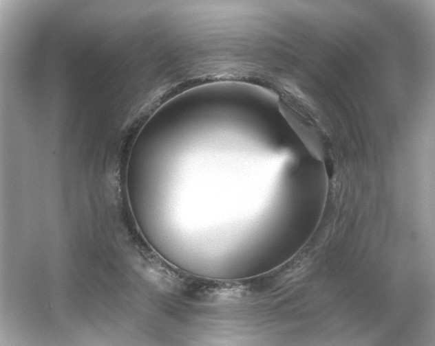 X0000065990306200603101511