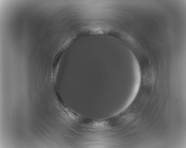 X0000065990314200603101511